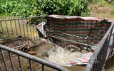 Tìm kiếm nam sinh viên nghi mất tích khi đi qua khu vực ngập sâu ở Hà Nội