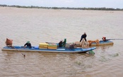Lũ trên sông Cửu Long đạt đỉnh, nguy cơ ngập lụt vùng trũng thấp vẫn cao