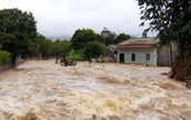 Lũ trên sông Cầu, sông Thương đang xuống, vẫn trên báo động 3