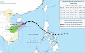Tin bão khẩn cấp (cơn bão số 12)
