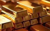 Thị trường ngày 23/10/2025: Giá vàng lao dốc thẳng đứng, vàng nhẫn giảm sâu, giá xăng dầu tiếp đà tăng mạnh
