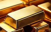 Thị trường ngày 1/11/2025: Vàng đồng loạt tăng mạnh, xăng dầu tăng nhẹ