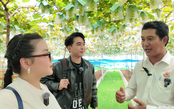 Từ hái nho đến thưởng thức tiệc "dừa nhà trồng" tại Suối Tiên