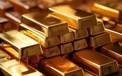 Giá vàng hôm nay 25/6/2025: Giá vàng rơi. Giá xăng dầu dự kiến biến động mạnh trong tuần này