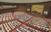 Quốc hội chính thức bỏ án tử hình với 8 tội danh, thay bằng tù chung thân không giảm án