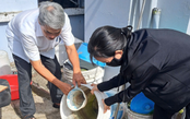 TP.HCM ghi nhận 6 ca tử vong do sốt xuất huyết trong 7 tháng