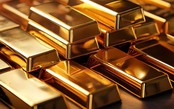 Thị trường ngày 20/7/2025: Giá vàng lập đỉnh mới, xăng dầu trong nước điều chỉnh giảm