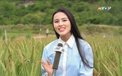 Nữ cử nhân ngành Xét nghiệm Y khoa ghi dấu ấn tại The TVFACE 2025