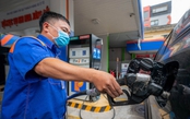 Giá xăng có thể tăng trở lại trong kỳ điều hành ngày mai
