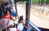 Tour du lịch hè bước vào cao điểm, cần tránh bẫy tour giá rẻ