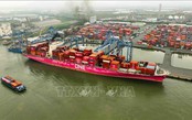 Hoa Kỳ giảm thuế đối ứng với Việt Nam xuống còn 20%