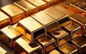 Thị trường ngày 27/8/2025: Giá vàng hôm nay tăng ''chóng mặt'', giá xăng dầu bất ngờ giảm