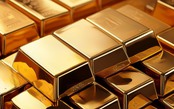 Thị trường 18/9/2025: Vàng đứng giá, dầu quay đầu giảm sau quyết định hạ lãi suất của Fed