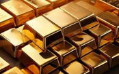 Thị trường ngày 6/9/2025: Giá vàng tiếp tục tăng mạnh, giá xăng dầu chìm trong sắc đỏ