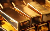 Thị trường ngày 11/1: Giá vàng tăng dựng đứng, xăng dầu biến động mạnh trong tuần