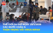 Tin Thế giới 24 Giờ ngày 29/1/2026 | Các nước Châu Á thận trọng với virus Nipah