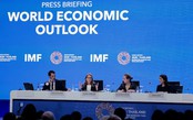 IMF điều chỉnh dự báo tăng trưởng kinh tế toàn cầu năm 2026