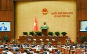 Quốc hội thảo luận dự án Bộ luật Hình sự (sửa đổi)