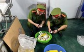 Công an Hà Nội triệt phá cơ sở sản xuất hơn 1,2 triệu viên sủi giả