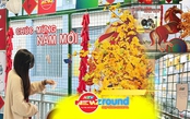 NewZround: Giao thông Xanh - Năng lượng mới: Không gian Tết Bính Ngọ rộn ràng tại Metro