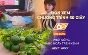 60 giây ngày 14/3/2026 I Cà Mau: Bỏ phiếu bầu cử sớm ở hai đảo Hòn Khoai và Hòn Chuối
