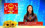 Chương trình hành động Ứng cử viên Đại biểu Quốc hội Khóa XVI Triệu Lệ Khánh
