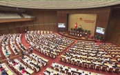 Quốc hội tiếp tục thảo luận về tình hình kinh tế - xã hội