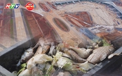 60 Giây ngày 13/5/2026 | Cầu đi bộ qua sông Sài Gòn tăng tốc để kịp hoàn thành dịp 2/9