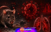 NewZgraphic: Bộ Y tế khuyến cáo các biện pháp phòng bệnh do virus Hanta