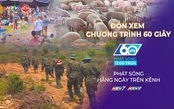 60 Giây Trưa ngày 23/6/2026 | Giá heo hơi hôm nay (23/6): tiếp tục điều chỉnh giảm.
