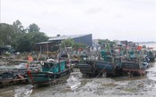 Khẩn trương ứng phó bão số 1, dồn lực bảo vệ người dân vùng nguy hiểm