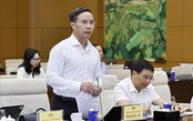 Không biến hoạt động đại lý ngân hàng thương mại thành 'giấy chứng nhận an toàn' cho trái phiếu