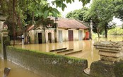 Nước lũ rút dần, Ninh Bình khẩn trương khôi phục đời sống và sản xuất