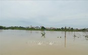 Bắc Ninh rút lệnh báo động I trên sông Lục Nam