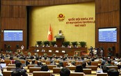 Khẩn trương ban hành các văn bản quy định chi tiết luật, nghị quyết của Quốc hội