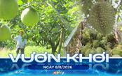 Vươn Khơi - Ngày 8/8/2026 | Nông nghiệp TP. Hồ Chí Minh: Cấp 149 mã số vùng trồng