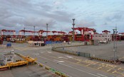 Khu bảo thuế tổng hợp đặc biệt Dương Sơn: Mô hình tham khảo sống động cho TP. Hồ Chí Minh