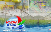 Nơi những phận đời cơ nhỡ được yêu thương | Vươn Khơi - Ngày 29/9/2026