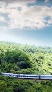 Giá nhiên liệu tăng cao, đường sắt tối ưu vận hành và điều chỉnh giá ở mức hợp lý