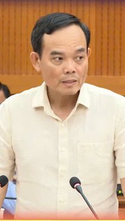 Ban Chỉ đạo phòng, chống tham nhũng, lãng phí, tiêu cực TP. Hồ Chí Minh tổ chức Phiên họp thứ 14