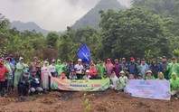 Trồng rừng đầu nguồn hướng tới giảm rủi ro thiên tai và biến đổi khí hậu