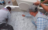 Giải pháp bền vững trong thi công các công trình công nghiệp