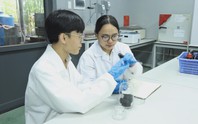 Khi giảng đường không chỉ là nơi học tập, mà là nơi khởi nguồn giải pháp cho thách thức môi trường toàn cầu