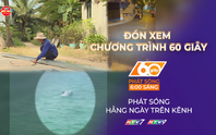 60 Giây ngày 12/1/2026 | TP. Hồ Chí Minh: Xử phạt tài xế không chấp hành đo nồng độ cồn