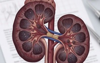 Dấu hiệu trong máu cảnh báo thận đang gặp vấn đề