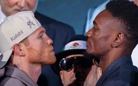 Canelo quyết đấu để giành lại đai vô địch WBC