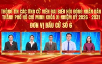 Thông tin các ứng cử viên Đại biểu Hội đồng nhân dân TP. Hồ Chí Minh Khóa XI - Đơn vị bầu cử số 6