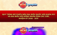 NewZgraphic: Quy trình bỏ phiếu bầu cử