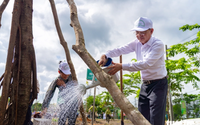 TP. Hồ Chí Minh: Trồng hơn 500 cây xanh tại công viên văn hóa Láng Le
