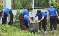 Mùa hè xanh 2026: Tuổi trẻ góp sức xây dựng cộng đồng